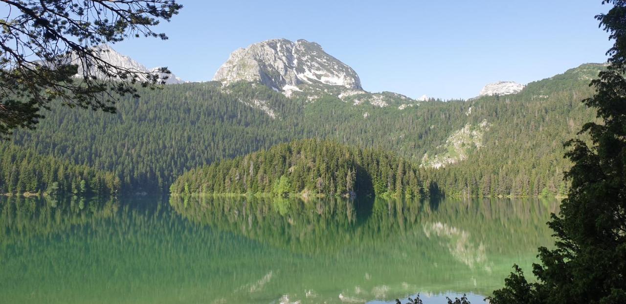 Black Lake Chalet Жабляк Экстерьер фото